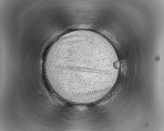 X0000098170206200805221522