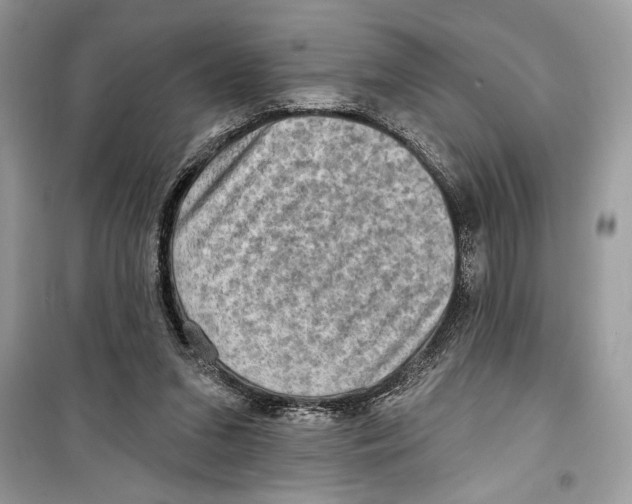 X0000098170207200805221522