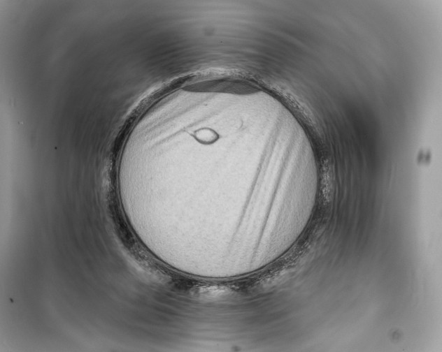 X0000098170208200805221522