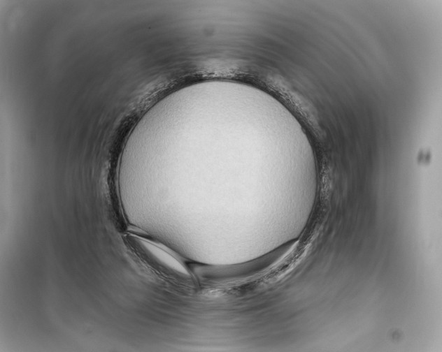 X0000098170209200805221522