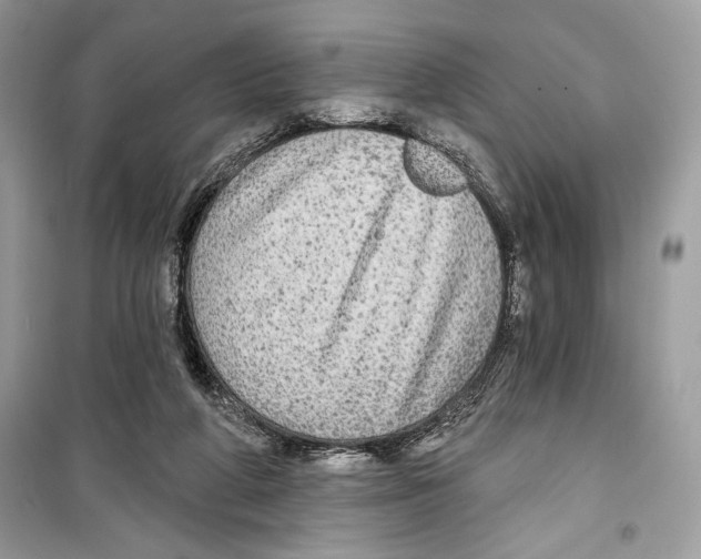 X0000098170210200805221522