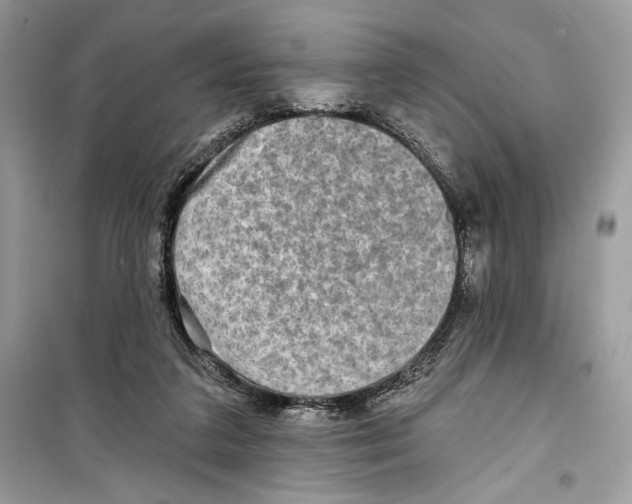 X0000098170211200805221522