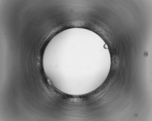 X0000098170212200805221522