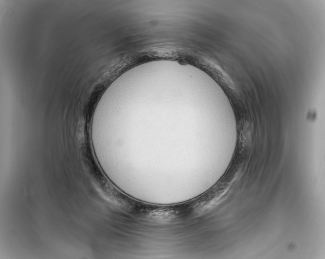 X0000098170213200805221522