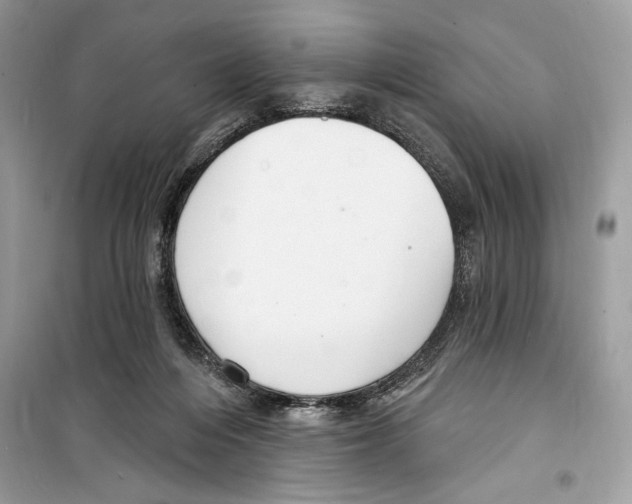 X0000098170216200805221522