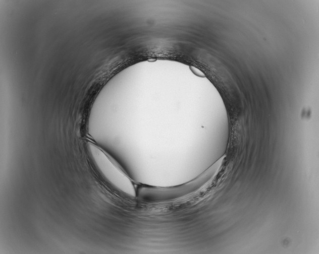 X0000098170217200805221522