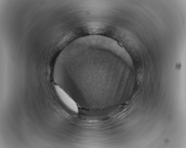 X0000098170219200805221522