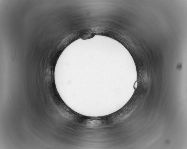 X0000098170220200805221522