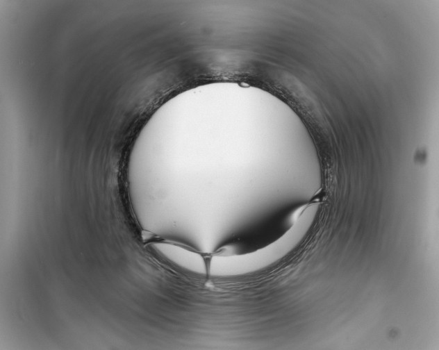 X0000098170221200805221522