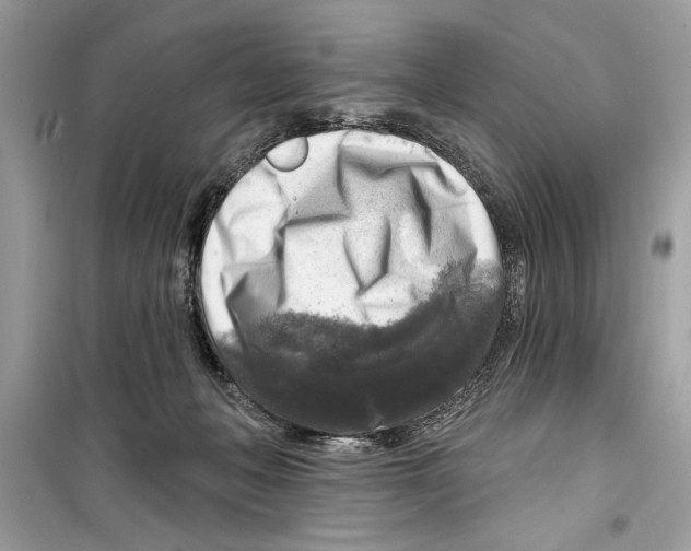 X0000098170222200805221522