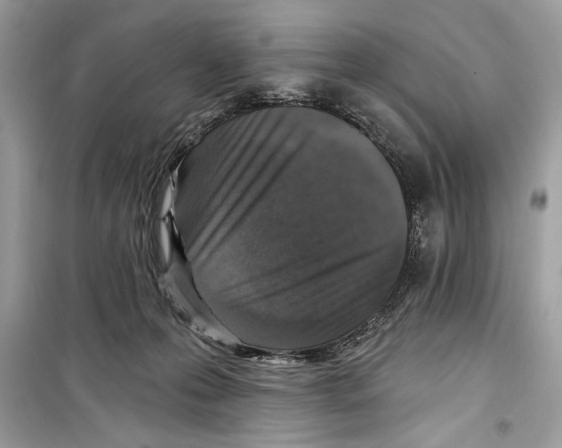 X0000098170223200805221522