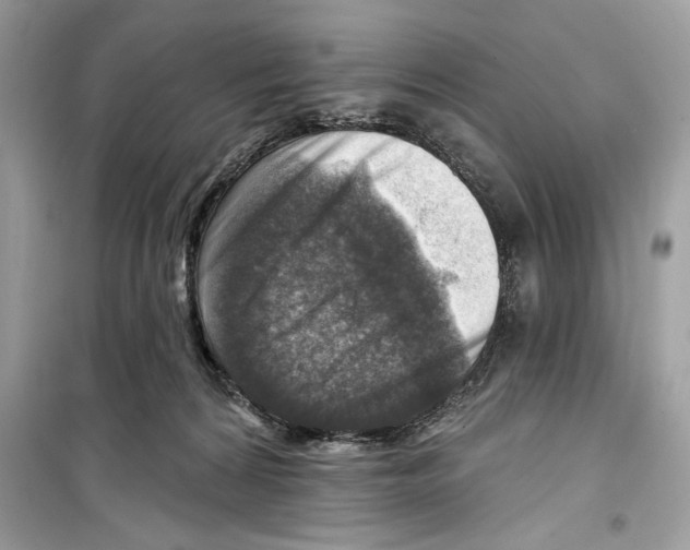 X0000098170224200805221522