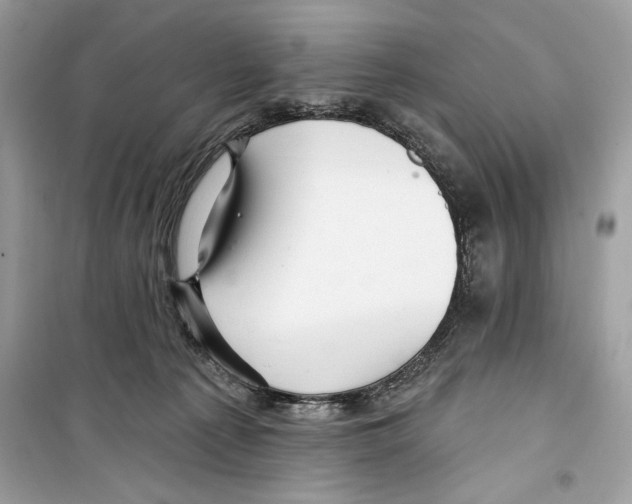 X0000098170225200805221522