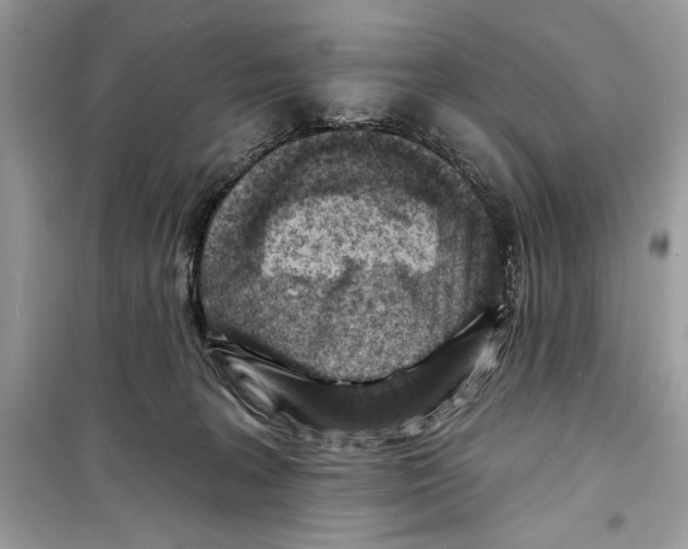 X0000098170227200805221522