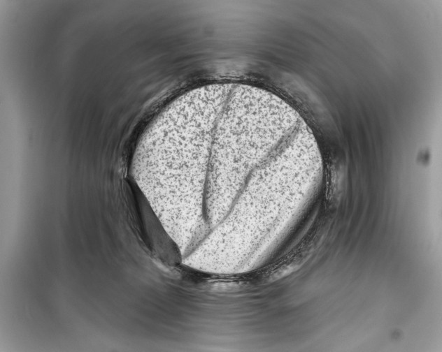 X0000098170228200805221522