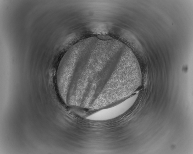 X0000098170229200805221522