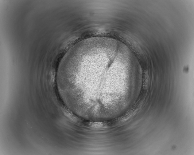 X0000098170230200805221522