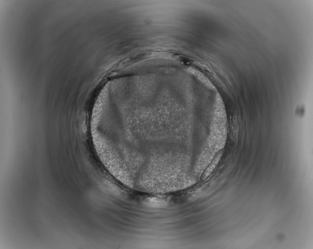 X0000098170232200805221522