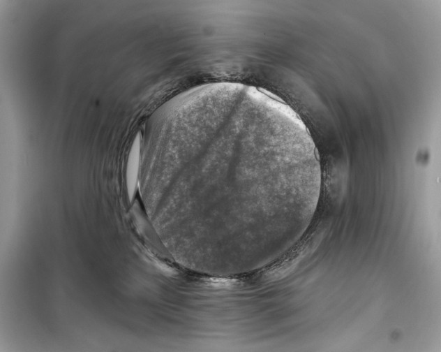 X0000098170233200805221522