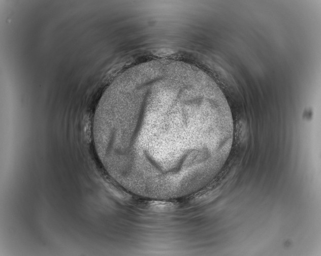 X0000098170234200805221522