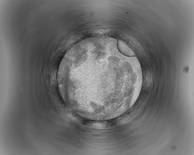 X0000098170236200805221522