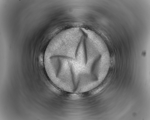 X0000098170238200805221522