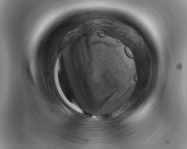 X0000098170239200805221522