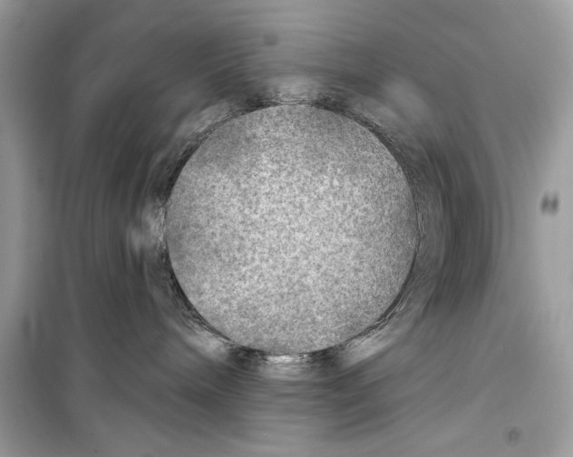 X0000098170240200805221522