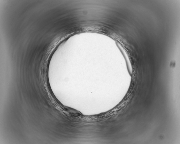 X0000098170241200805221521