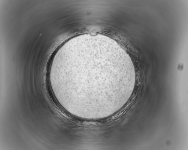 X0000098170242200805221521