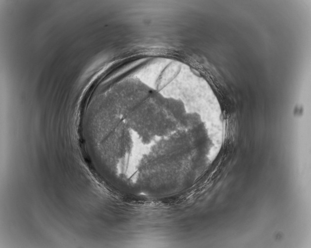 X0000098170243200805221521