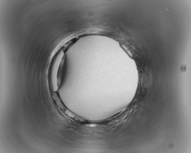 X0000098170244200805221521