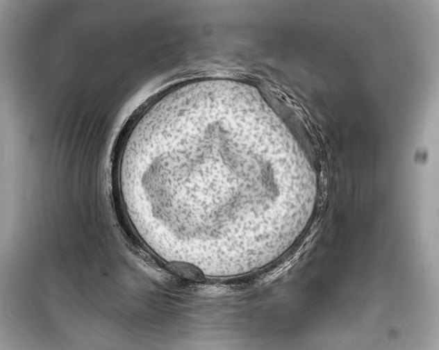 X0000098170246200805221521