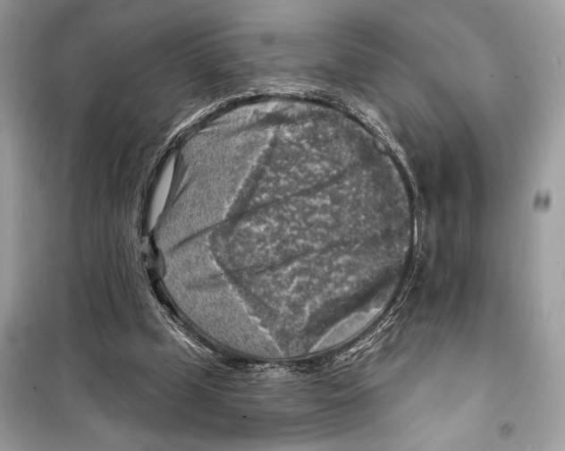 X0000098170249200805221521