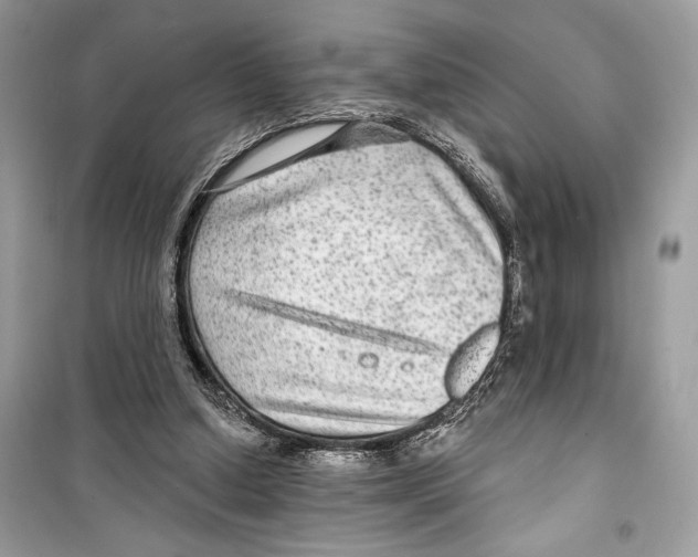 X0000098170250200805221521