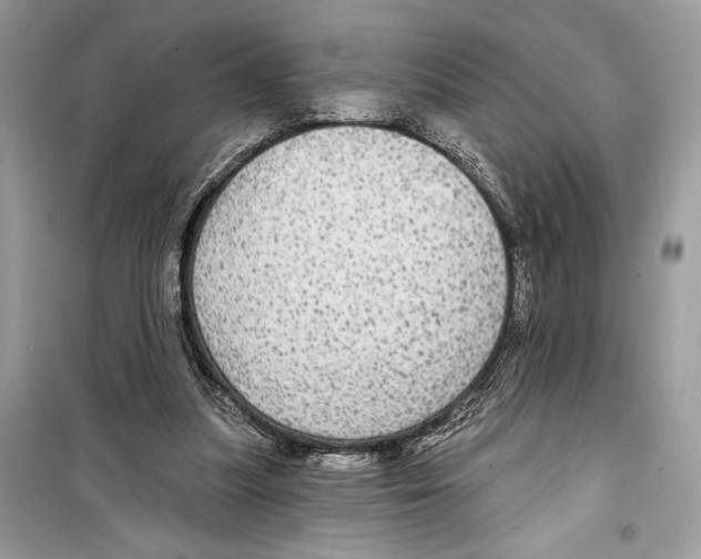 X0000098170251200805221521