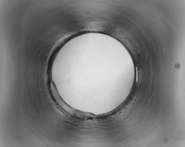 X0000098170252200805221521