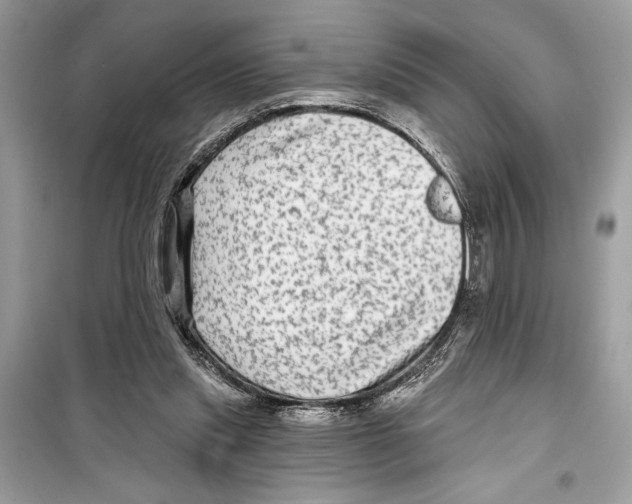 X0000098170253200805221521