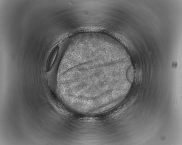 X0000098170254200805221521