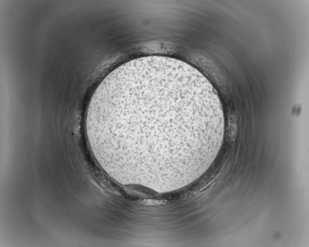 X0000098170255200805221521