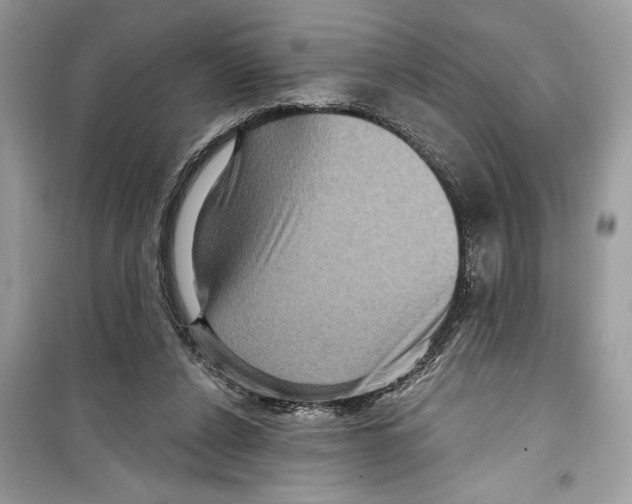 X0000098170256200805221521