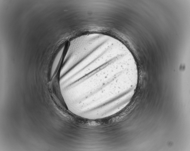 X0000098170257200805221521