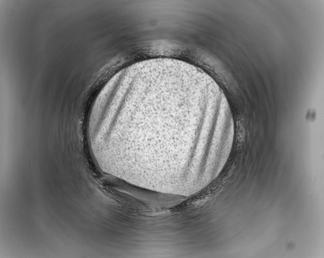 X0000098170258200805221521