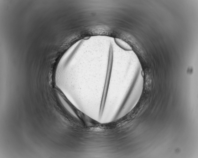 X0000098170259200805221521