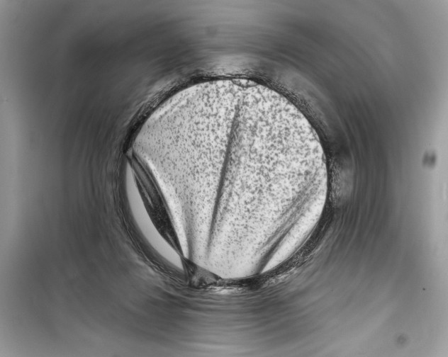 X0000098170260200805221521