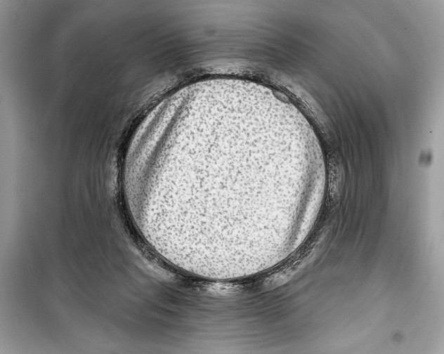 X0000098170261200805221521