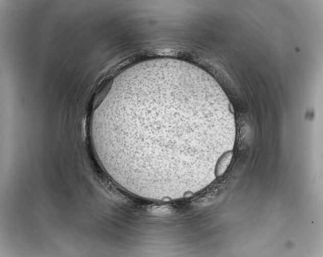 X0000098170262200805221521