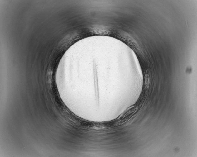 X0000098170263200805221521