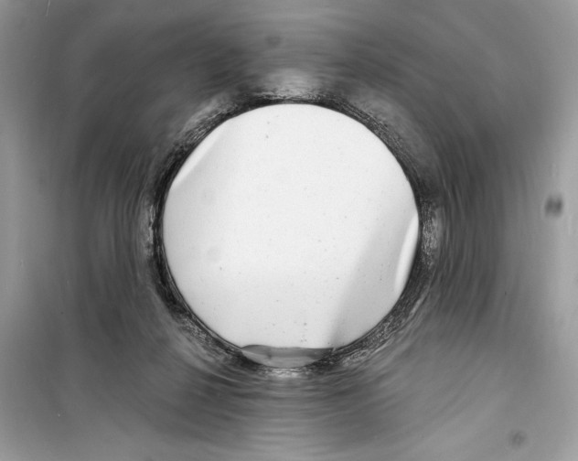 X0000098170264200805221521