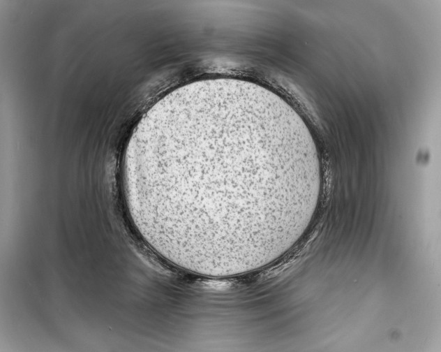 X0000098170265200805221521